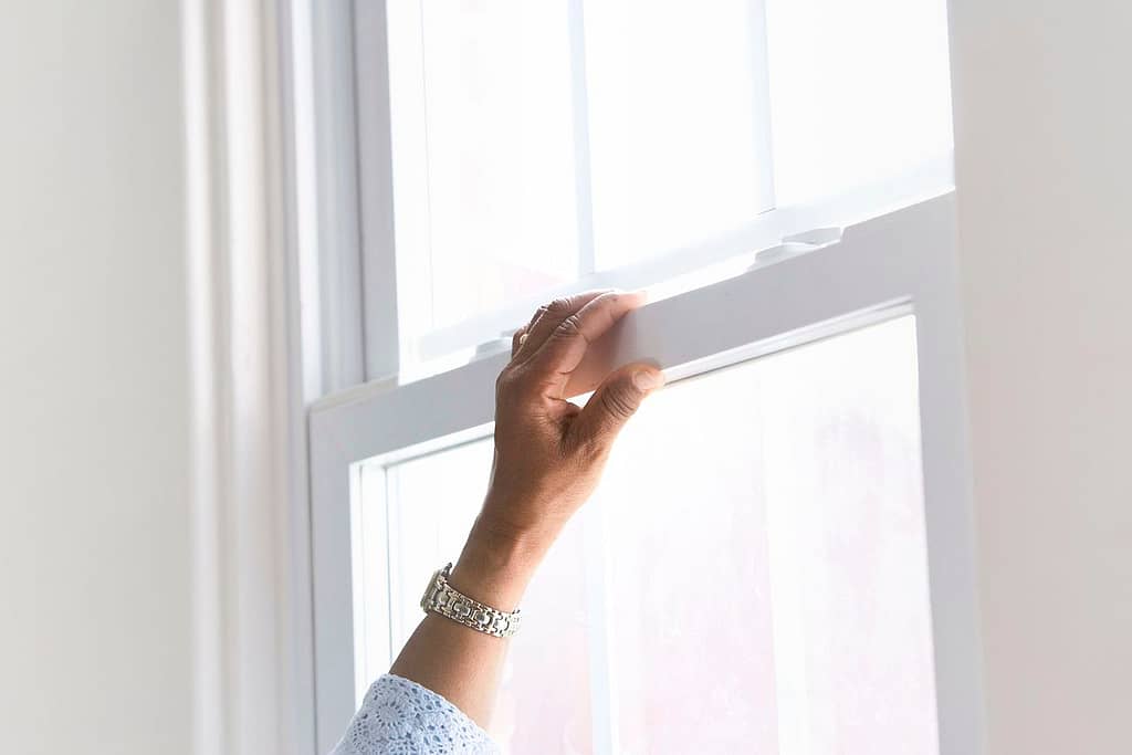 Exterior windows