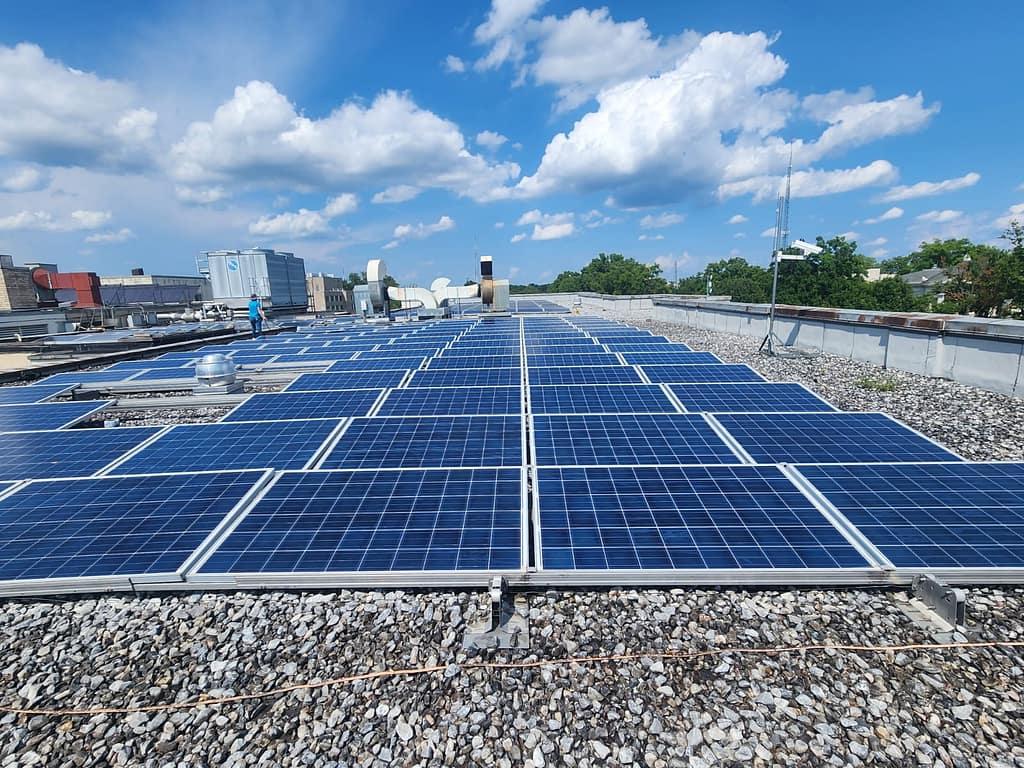 Solar panel cleaning services