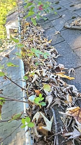 Expert Gutter Cleaning Services in your area