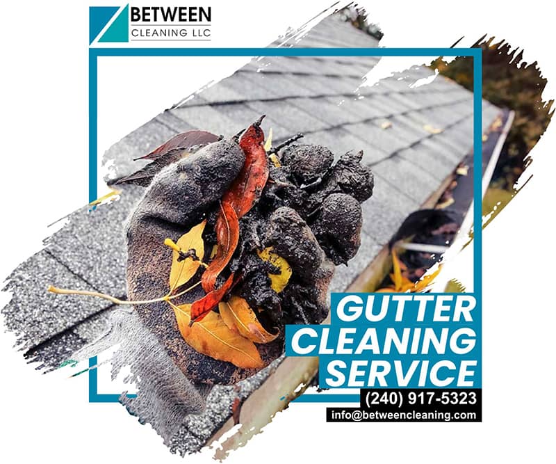 gutter cleaning washington dc