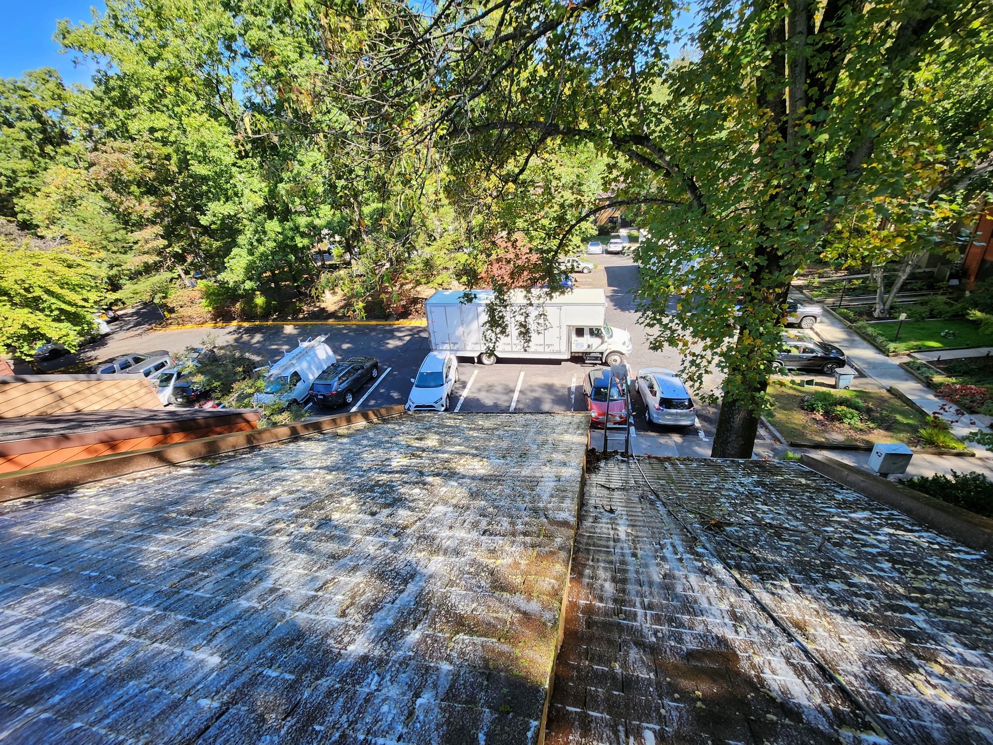 Roof Cleaning