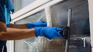 Windows Cleaned Professionally