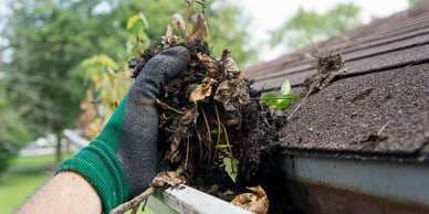Gutter-Cleaning
